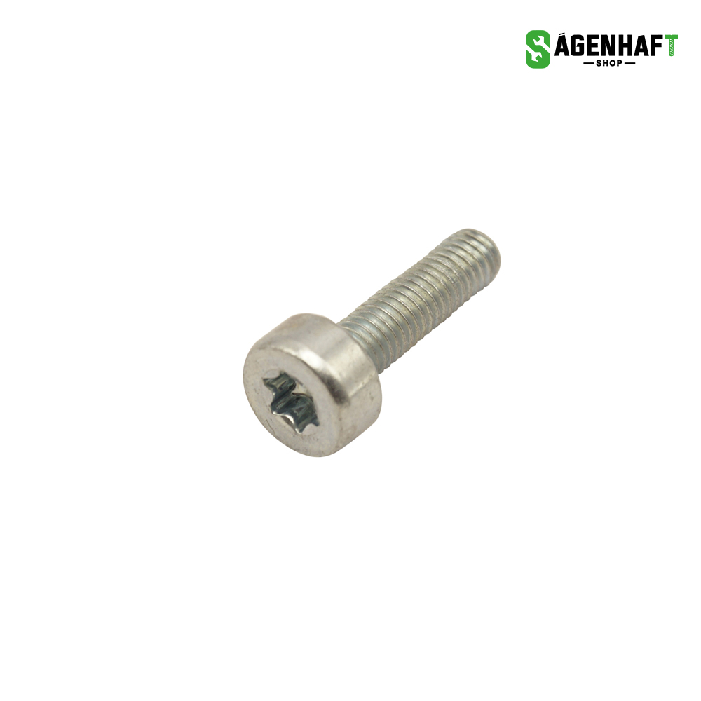 Schraube M5 x 18 T27