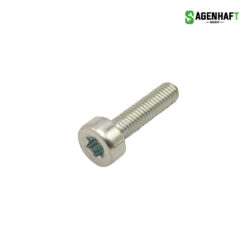 Schraube M5 x 20 T27
