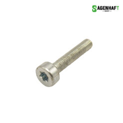 Schraube M5 x 25 T27