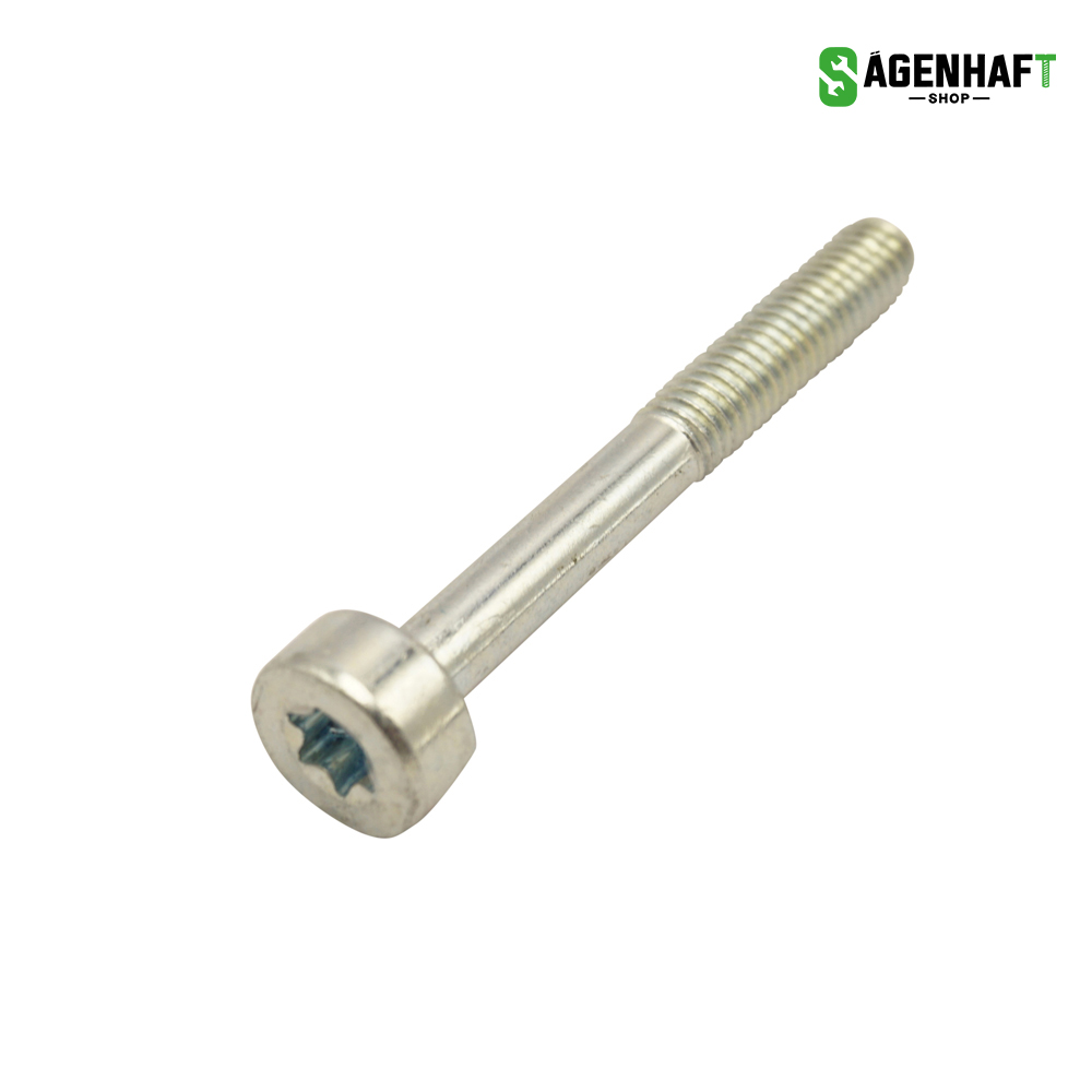 Schraube M5 x 40 T27